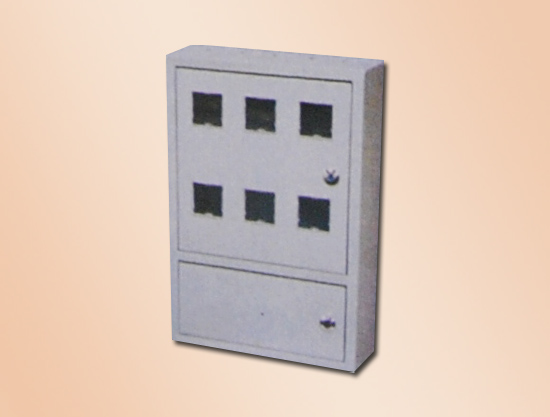 6戶明雙門電表箱